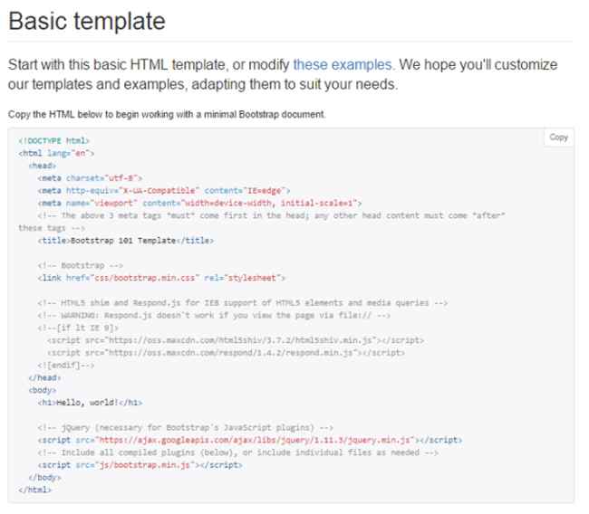 Basic Template option